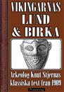 vikingatidens-lund-och-birka-omslag