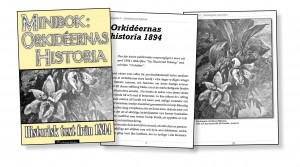 Orkideernas-historia-trippel