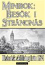 ett-besok-i-strangnas-1874-omslag