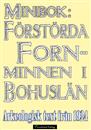 minibok-forstorda-fornminnen-i-bohuslan-ar-1924-omslag