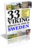 33viking-3d