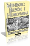 Huskvarna-3d